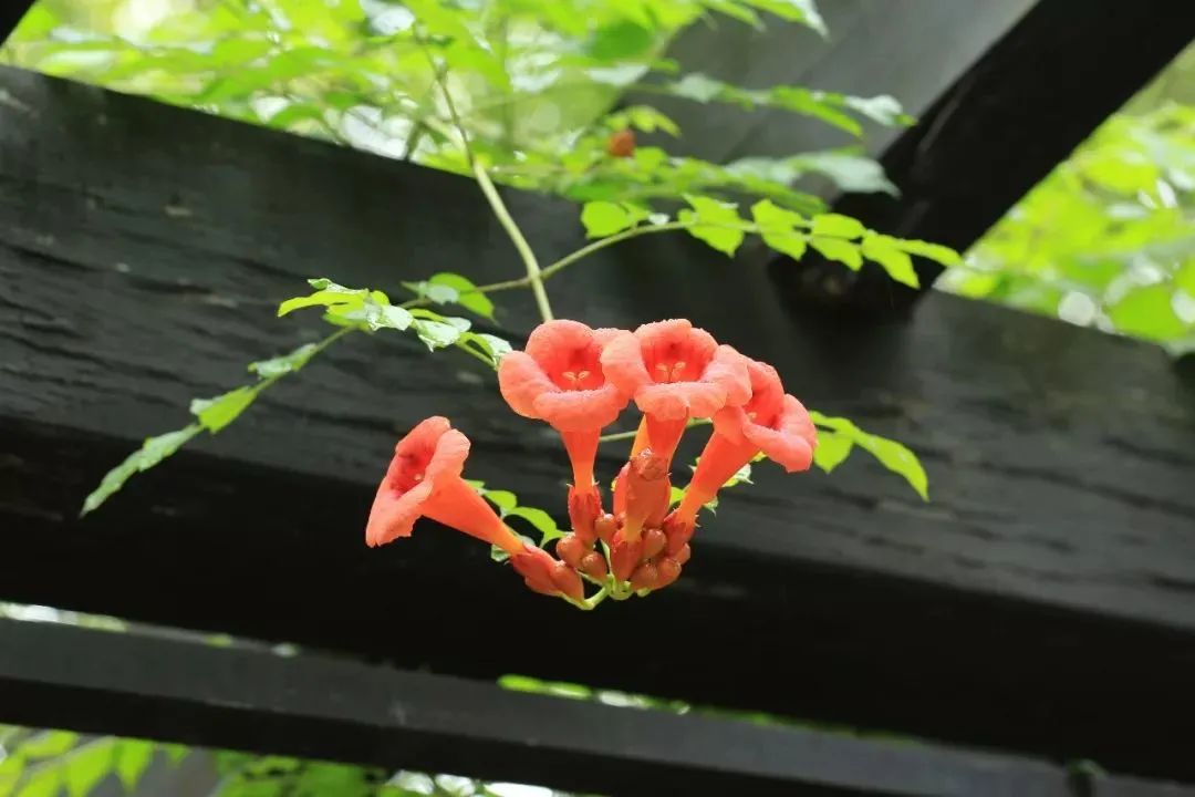 1675479628501064.jpg 微信圖片_20230116072226.jpg