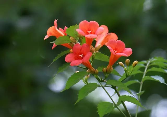 1675479637687086.jpg 微信圖片_20230204105901.jpg