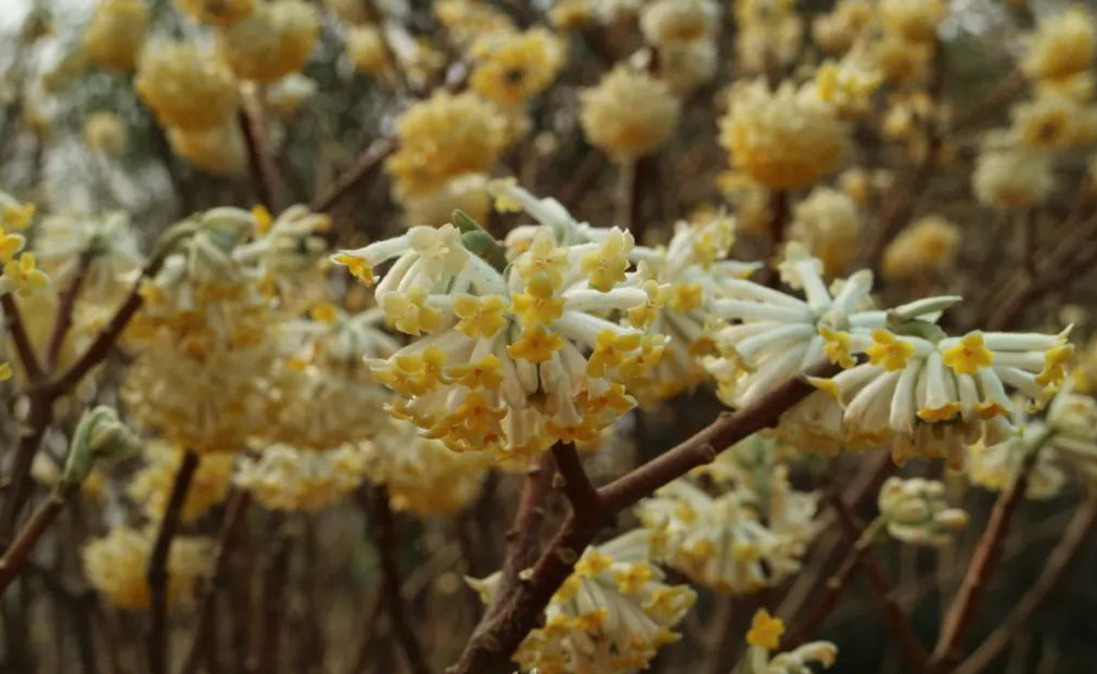 1675479688182188.jpg 微信圖片_20230108141338.jpg