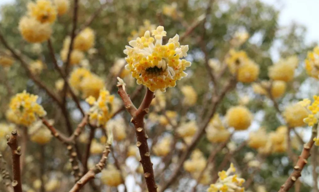 1675479759793018.jpg 微信圖片_20230108141355.jpg