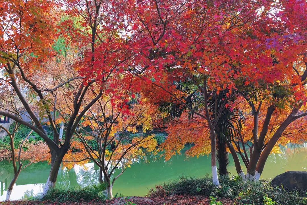 1675491930984259.jpg 微信圖片_20230112212513.jpg