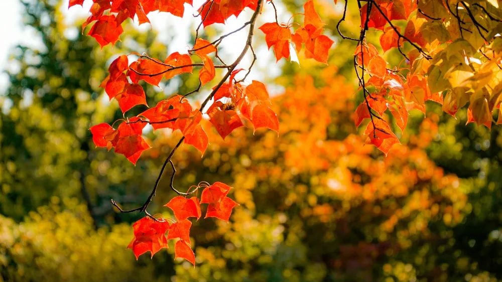 1675491940282437.jpg 微信圖片_20230107171432.jpg