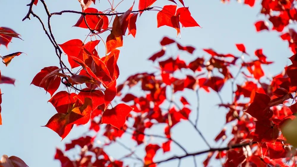 1675491948429519.jpg 微信圖片_20230107171438.jpg