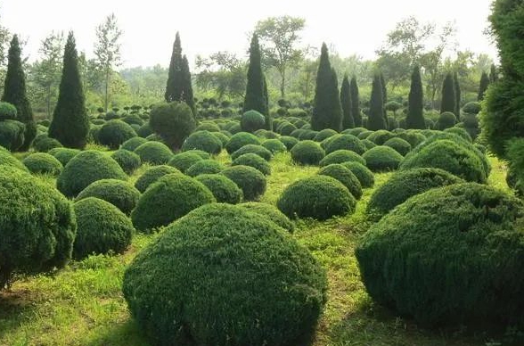 1675492471768717.jpg 微信圖片_20230204143234.jpg