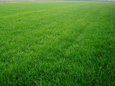 1676069692793877.png 微信圖片_20221031154649.png