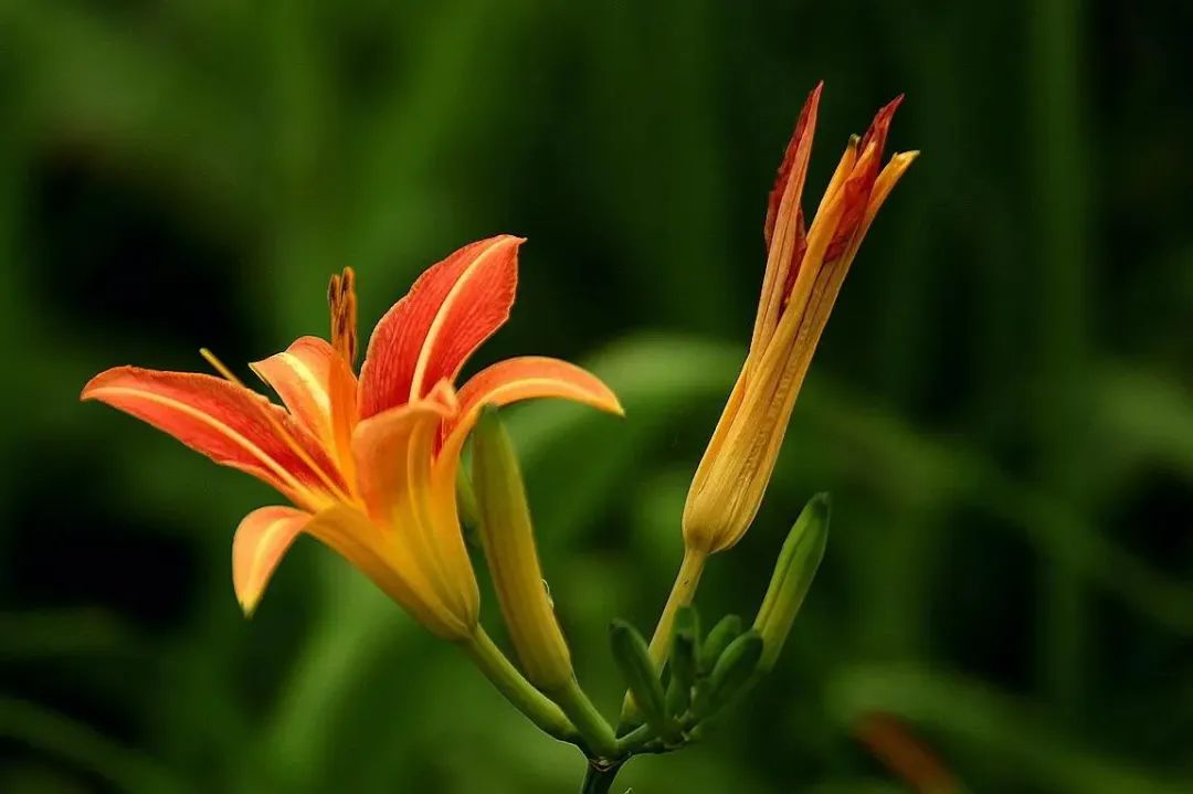 1676581486392073.jpg 微信圖片_20230108122245.jpg