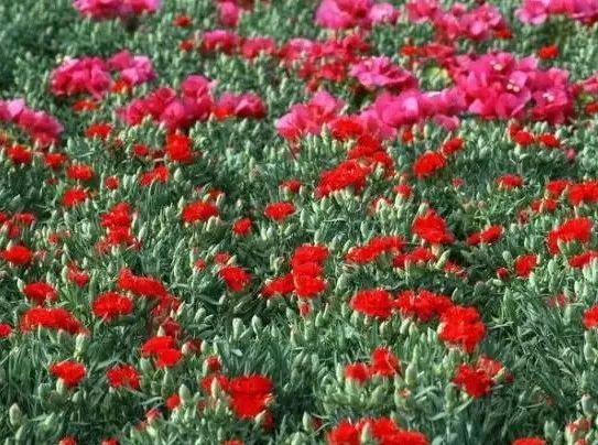 1676640065286514.jpg 微信圖片_20221031115713.jpg