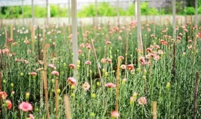 1676640071300288.jpg 微信圖片_20221031115726.jpg