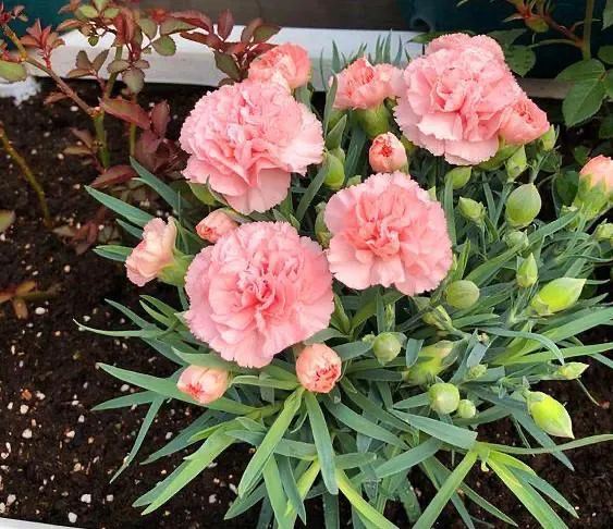 1676640077884909.jpg 微信圖片_20221031115755.jpg