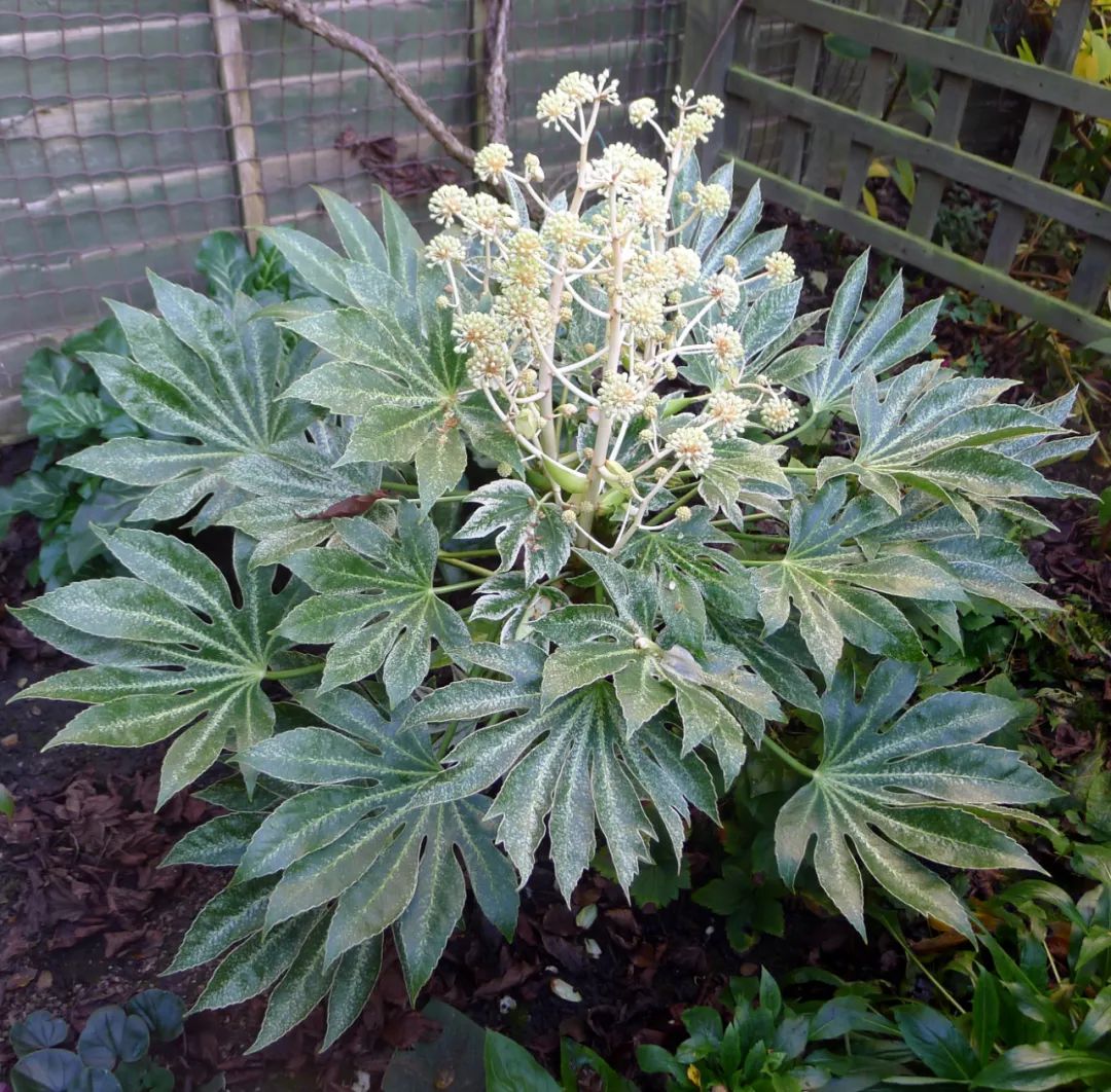 1676893993896734.jpg 微信圖片_20230220195153.jpg