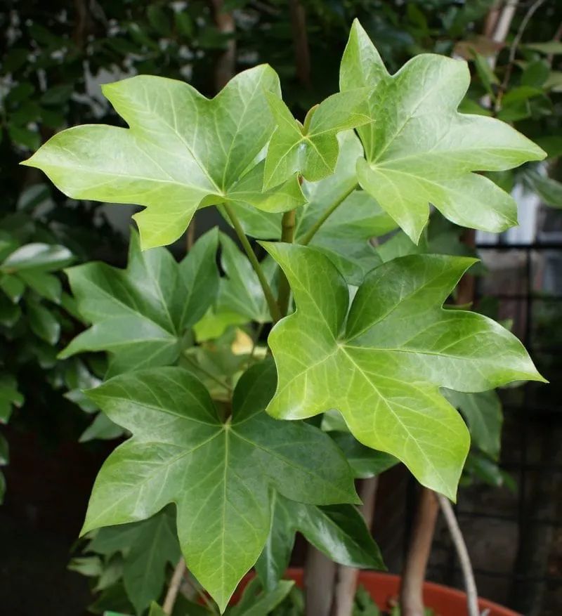 1676894014712195.jpg 微信圖片_20230220195207.jpg