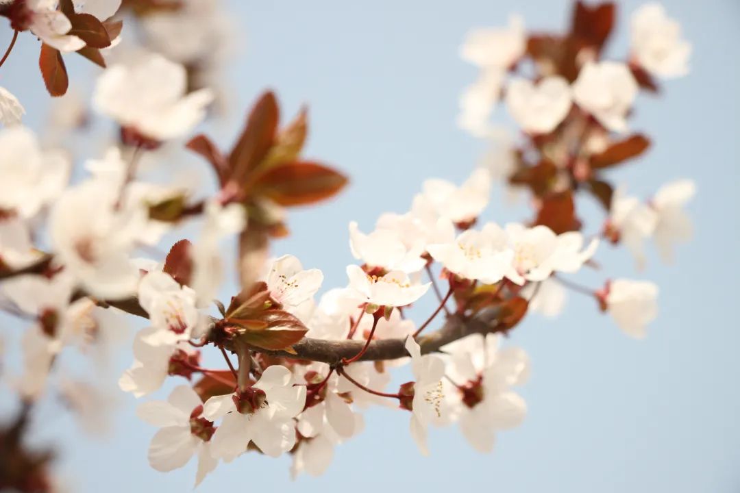 1676894158786360.jpg 微信圖片_20230107162436.jpg