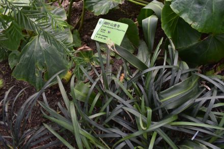 1676894619724021.jpg t01815f455aadea207b.jpg