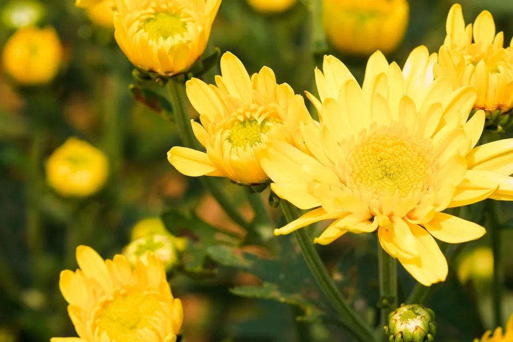 1676894772397328.jpg 微信圖片_20221104183816.jpg