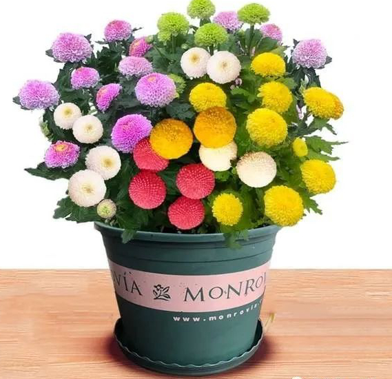 1676894793615522.jpg 微信圖片_20230108151712.jpg